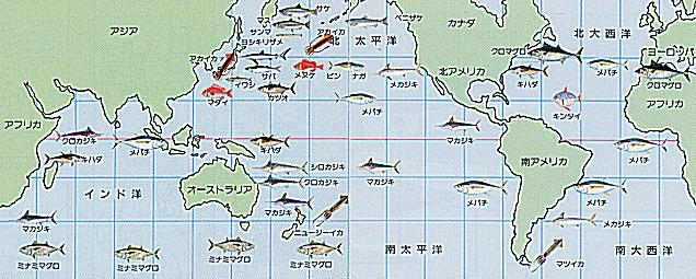 ��փe�L�X�g